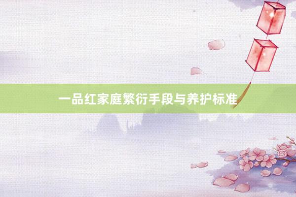 一品红家庭繁衍手段与养护标准