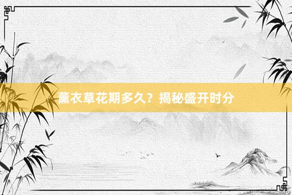 薰衣草花期多久？揭秘盛开时分