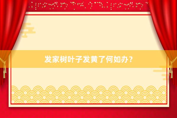 发家树叶子发黄了何如办？