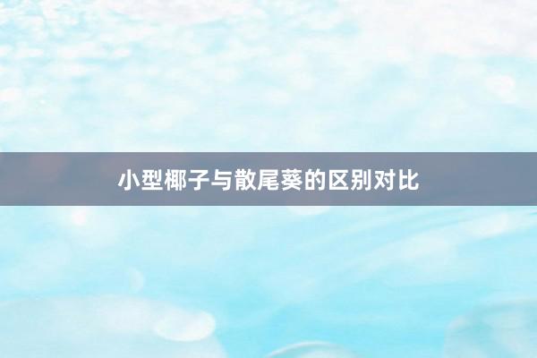 小型椰子与散尾葵的区别对比
